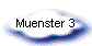 Muenster 3